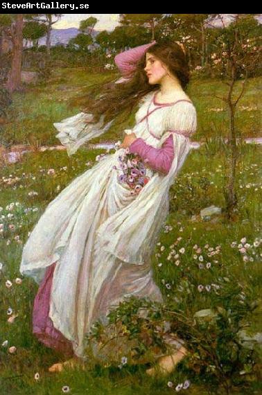 John William Waterhouse Windswept